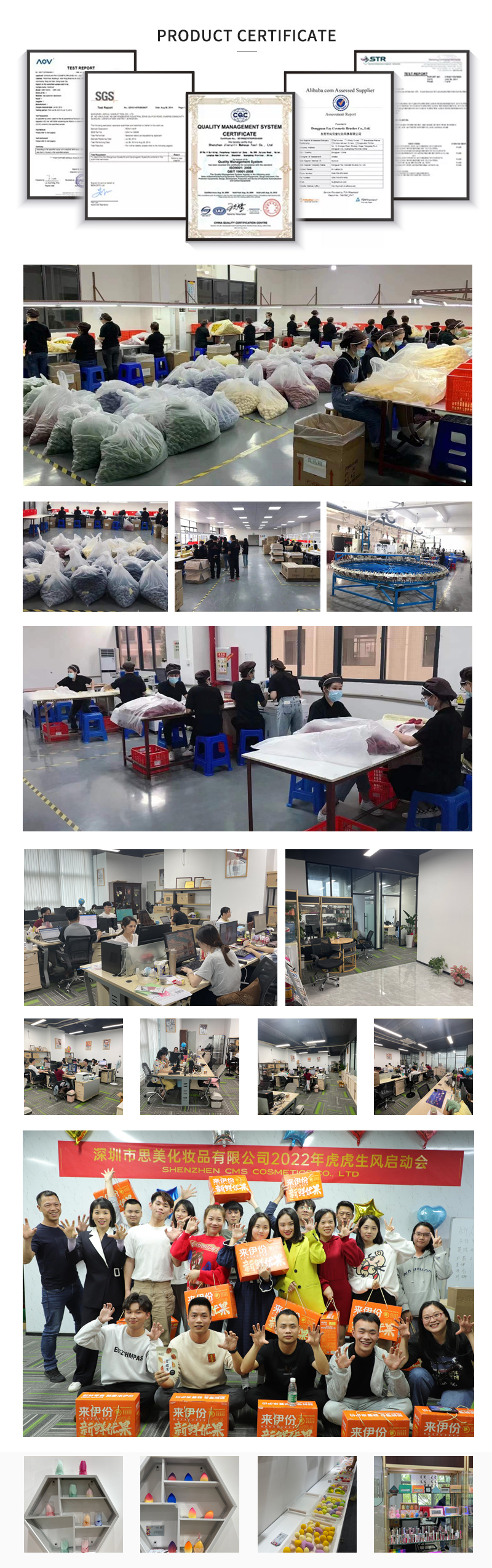 Manufacturing Technique and Production Lines
