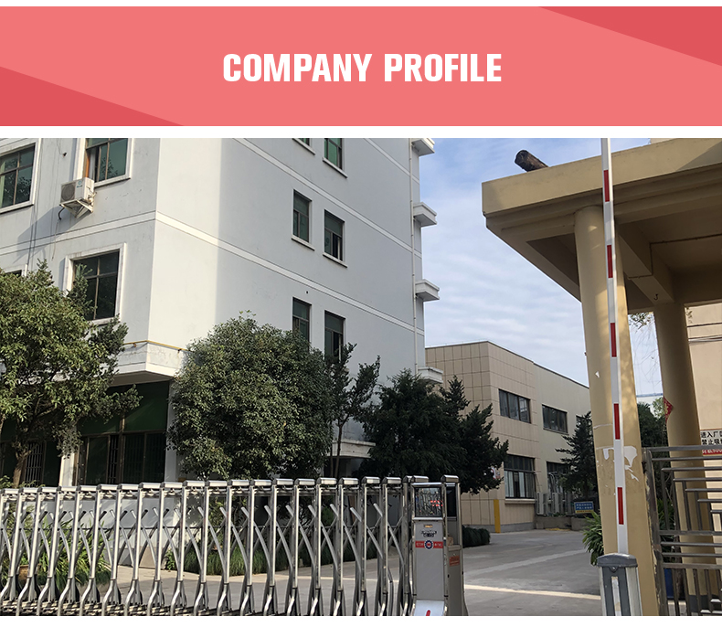 Company Showcase 3
