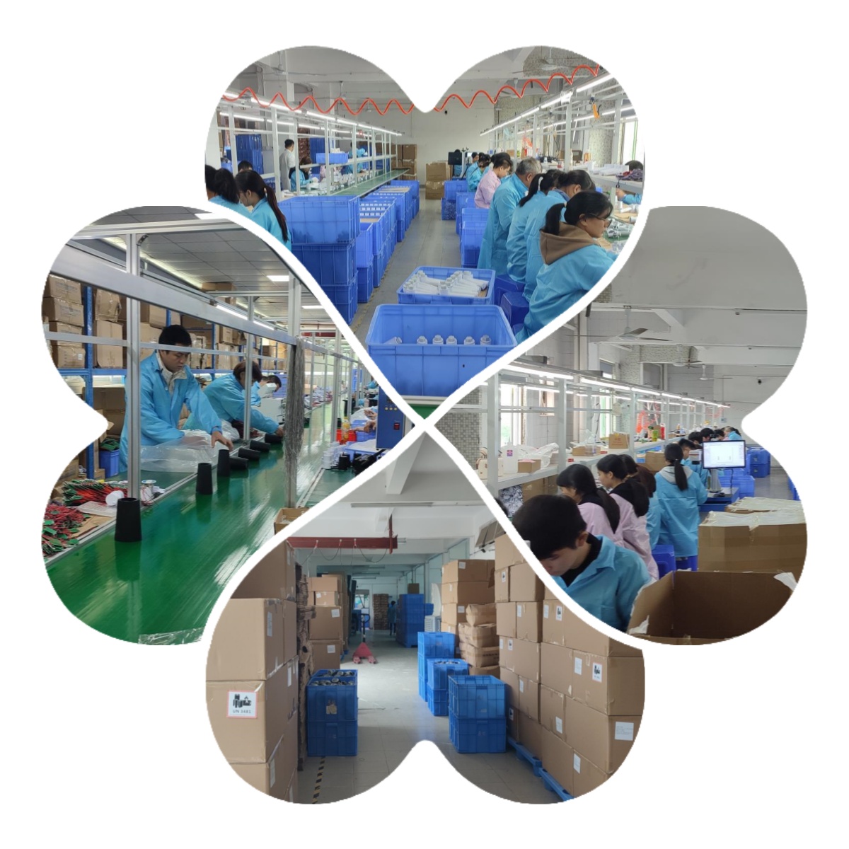 Factory Production Line