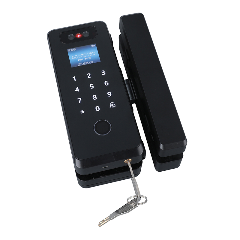 3D Face Recognition High Definition Camera Glass Door Smart Lock