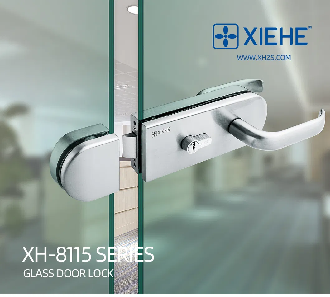 Frameless Glass Lock with Fixed Handle