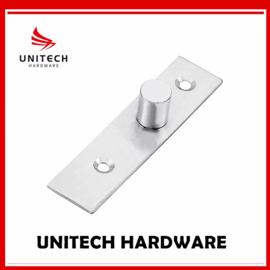 15mm Pivot Stainless Steel Glass Door Floor Hinge Bottom Pivot