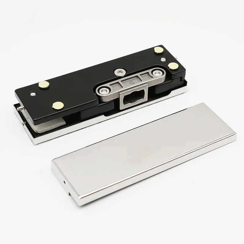 Glass Door Hinge Detail 1