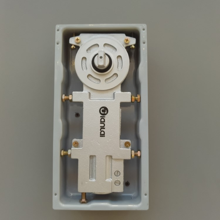 Pakistan Sell Well Adjustment Glass Door Closer Floor Hinge Spring