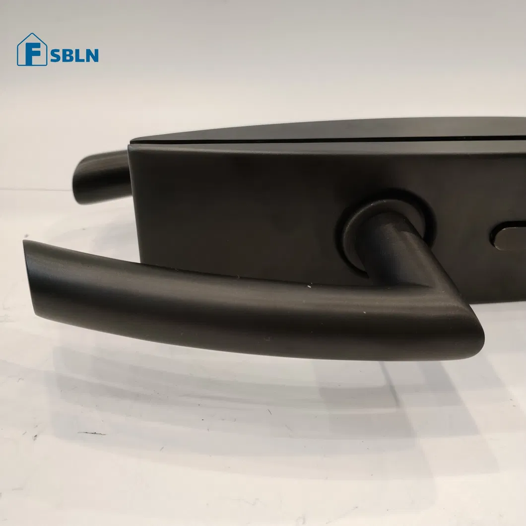 Glass Door Lock Details