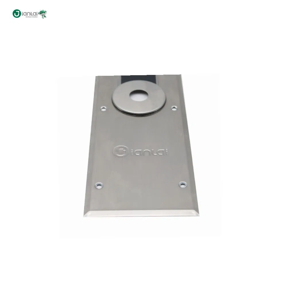 Pakistan Sell Well Adjustment Glass Door Closer Floor Hinge Spring