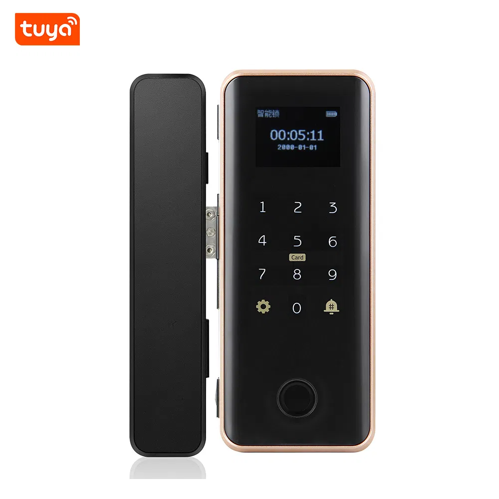 Sliding Fingerprint Glass Door Lock Tuya WiFi Card Password Keys Unlock