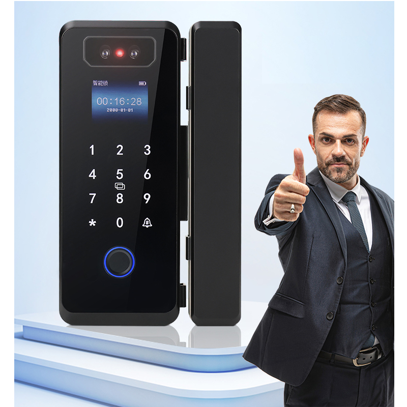 3D Face Recognition High Definition Camera Glass Door Smart Lock
