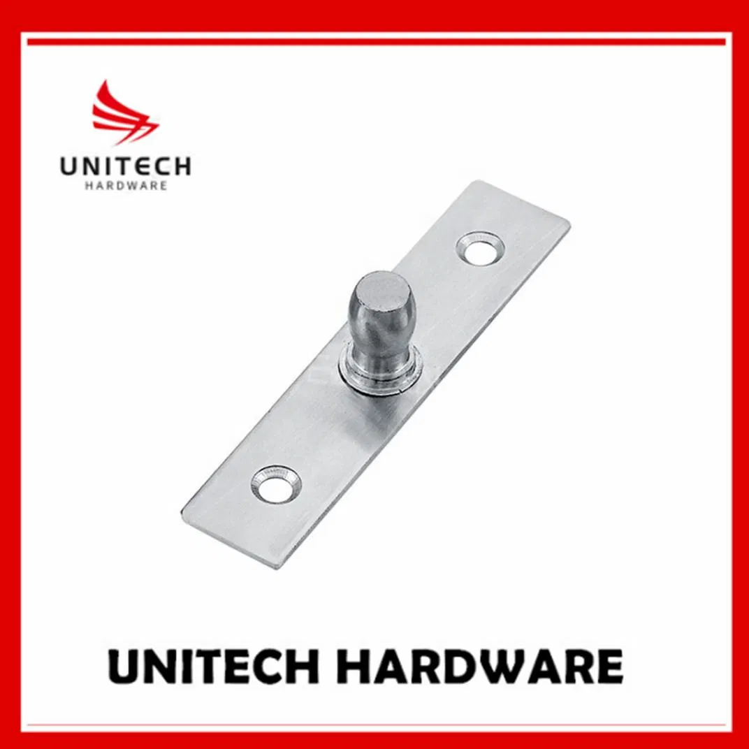 15mm Pivot Stainless Steel Glass Door Floor Hinge Bottom Pivot