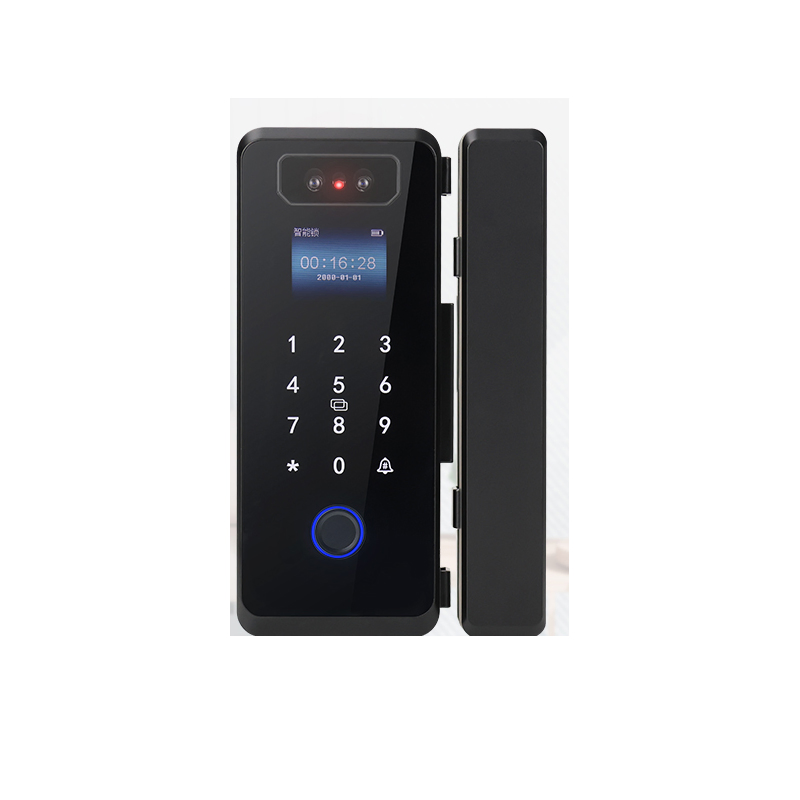 3D Face Recognition High Definition Camera Glass Door Smart Lock