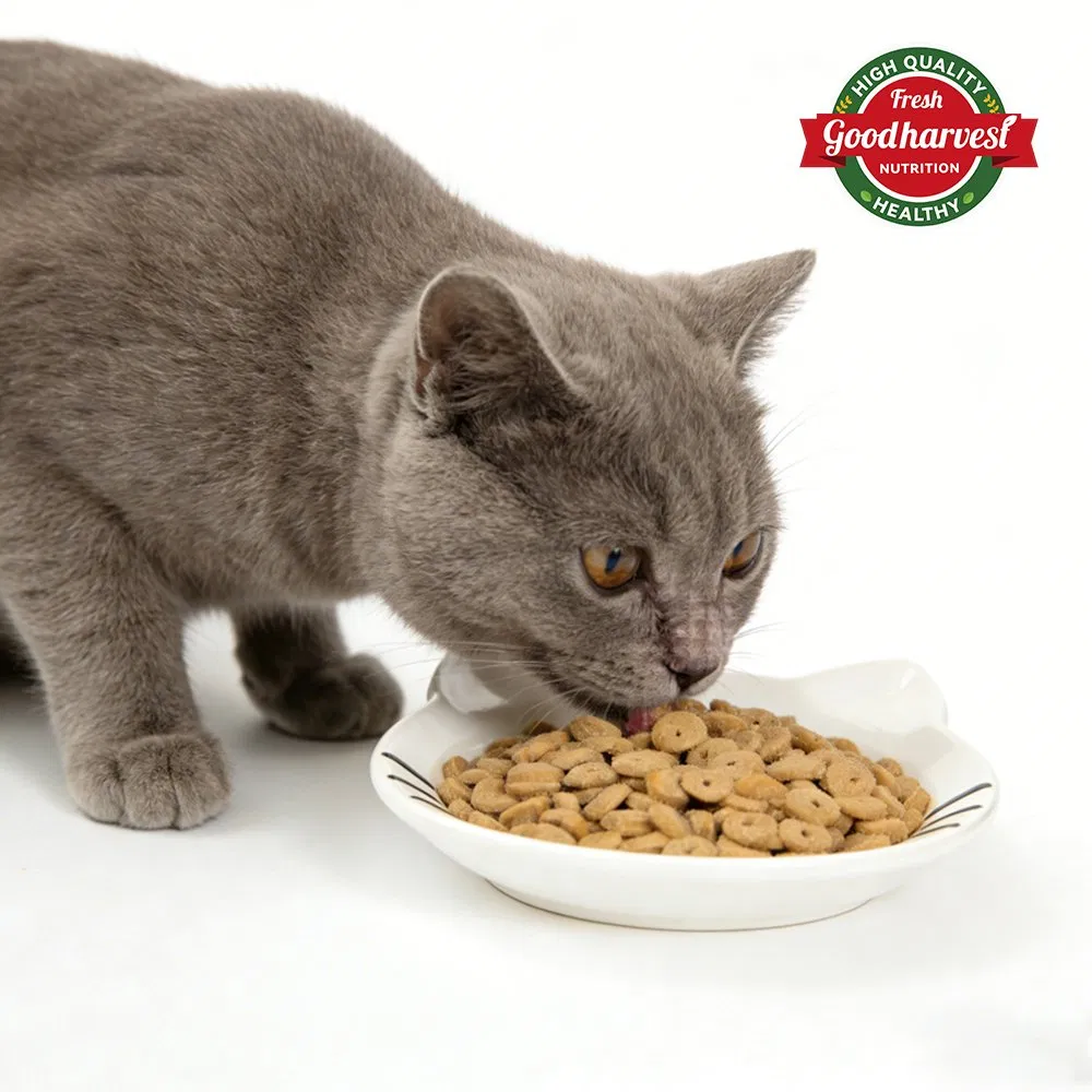 100% Natural Pet Food High Protein Cats and Dogs Dry Food Factory