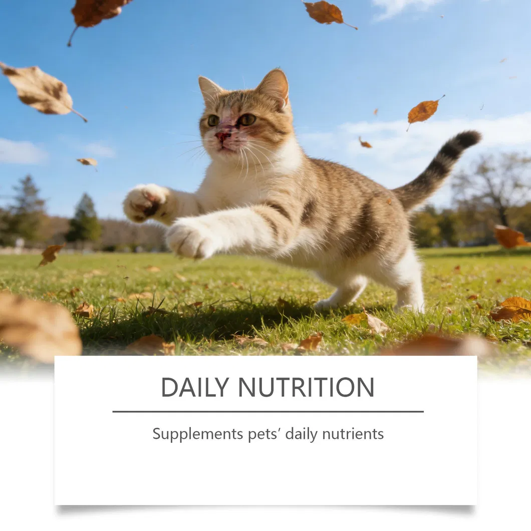 Taurine Powder for Cats 5