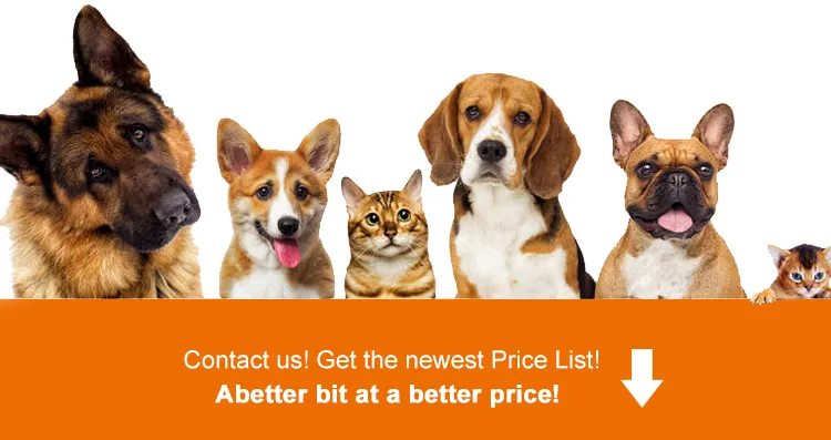 Pet Dry Food Overview