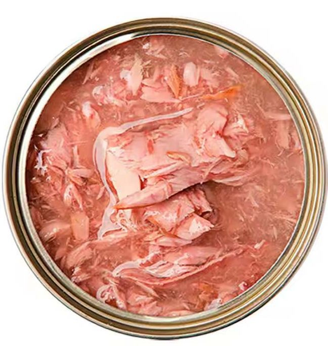 14 Oz*24cans/CTN High Protein Wet Cat Food for Senior Cats with Omega 3 and Taurine Grain-Free Pate