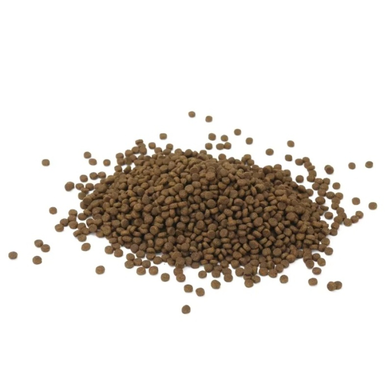 Adults Senior Cat 11+ Premium Nutrition Dry Cat Food Chicken Recipe