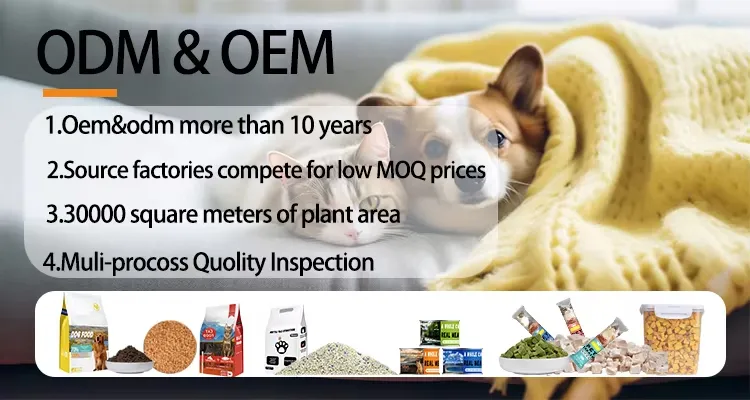 Healthy Dry Dog Food