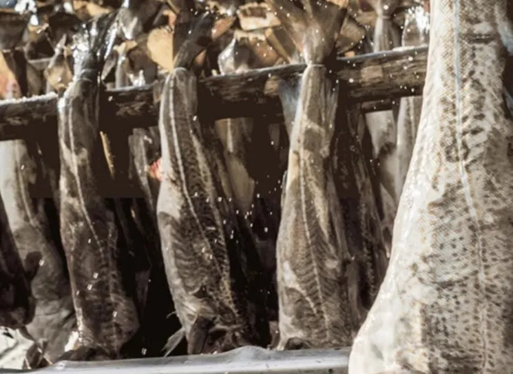 Pet Food Ingredients