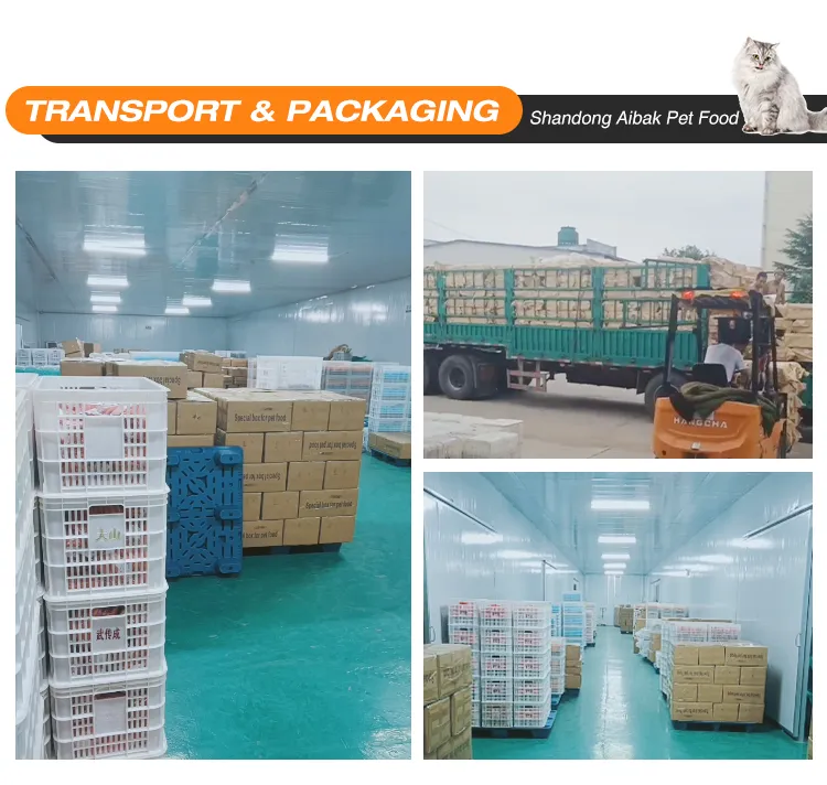 Shipping and Logistics