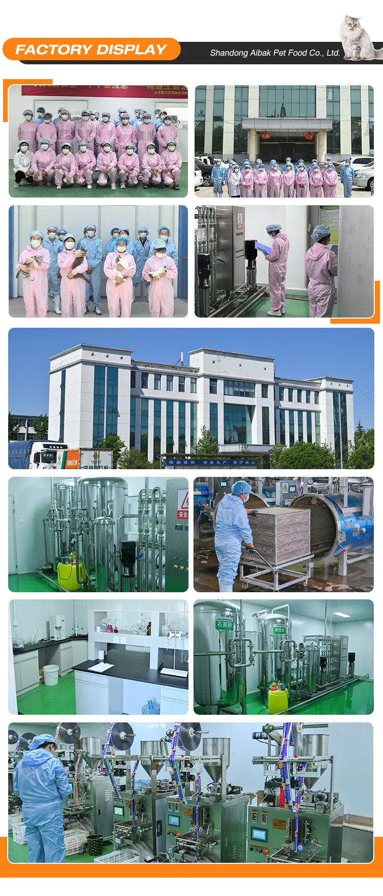 Professional Workshop