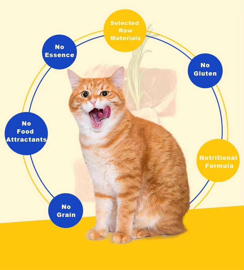 Wholesale English Cat Strips Chicken Tasted Wet Wet Pet Food Treats for Kitten Nutrition Cross-Border Cat Snacks