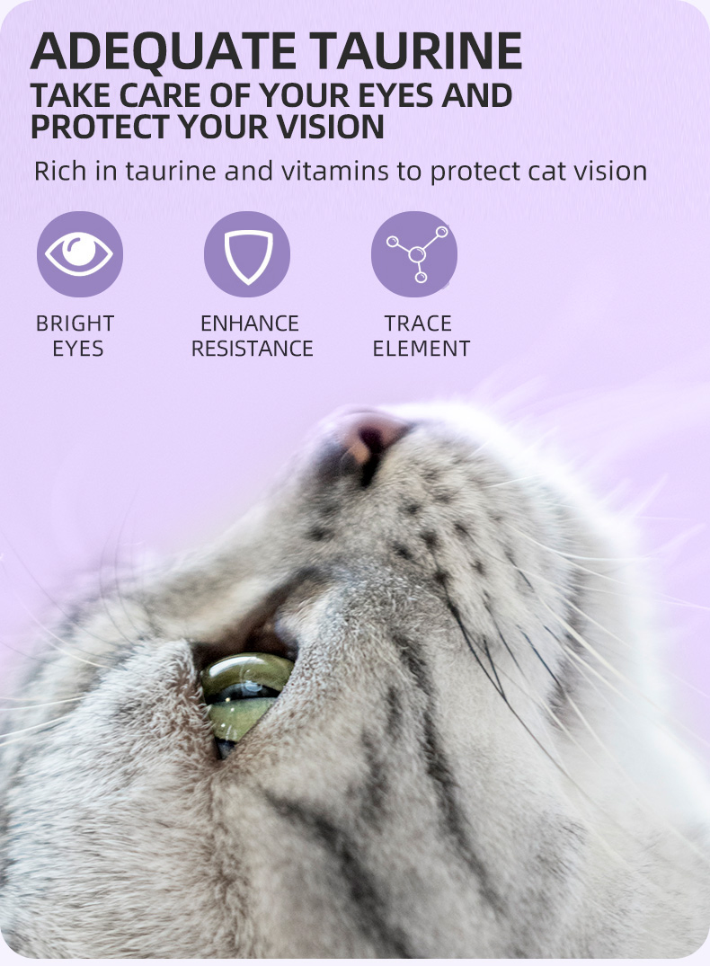 OEM Wholesale Factory 1kg 2.5kg 5kg10kg 20kg Adult Puppy Freeze Dried Dry Cat Food Pet Food for Cat