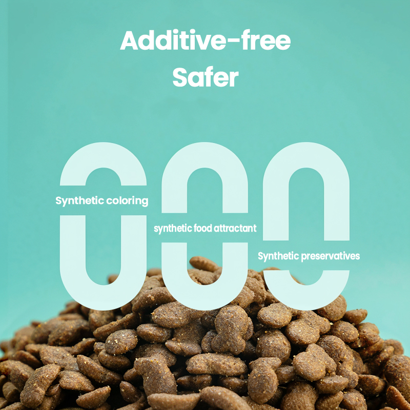 Special Formulation All Life Stages Cat Litter Comprehensive Nutritional Support Cat Food for Kittens to Senior Cats Ensuring Healthy Growth Longevity Cat Food