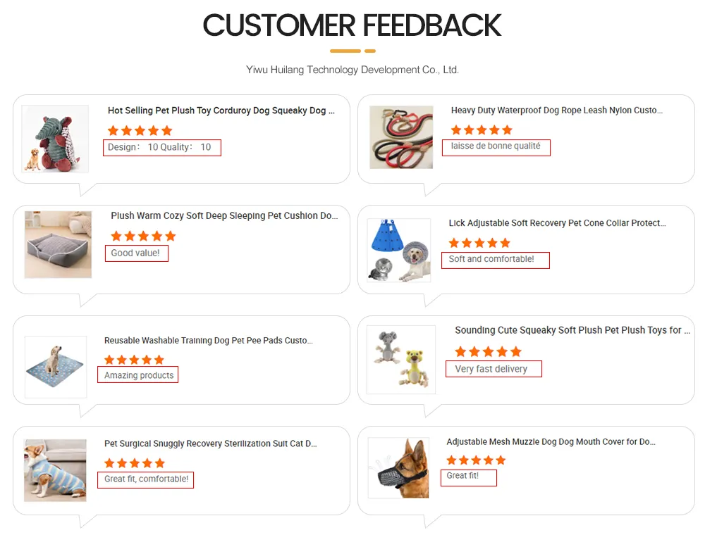 Our Quality Assurance