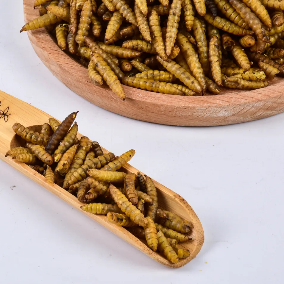 Natural Bsf Insect Powder