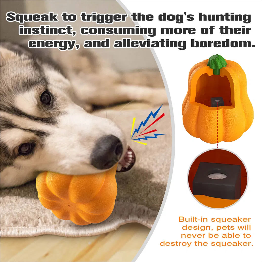 Interactive Pet Rope Toy