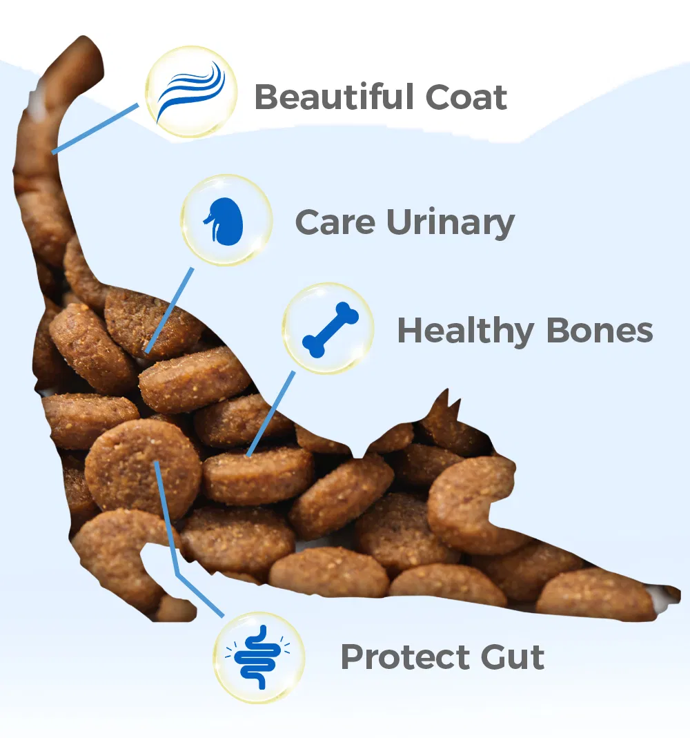 100% Natural Pet Food High Protein Cats and Dogs Dry Food Factory