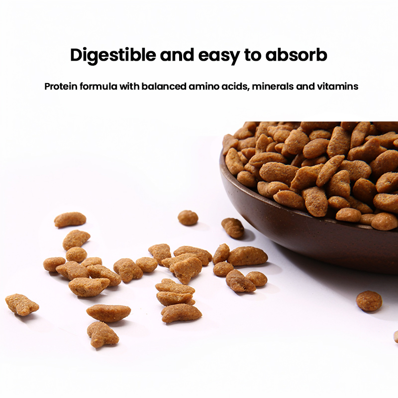 Chain OEM ODM Manufacturer Factory Wholesale 100% Natural Dry Pet Food Cat Food