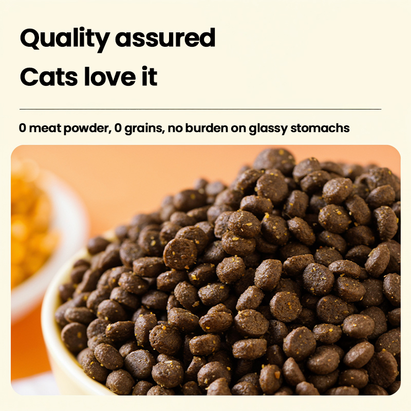 Special Formulation All Life Stages Cat Litter Comprehensive Nutritional Support Cat Food for Kittens to Senior Cats Ensuring Healthy Growth Longevity Cat Food