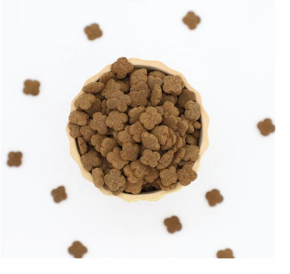 Hot Sale Dry Pet Food for Kitten Dry Cat Food