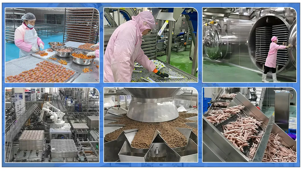 Production Process