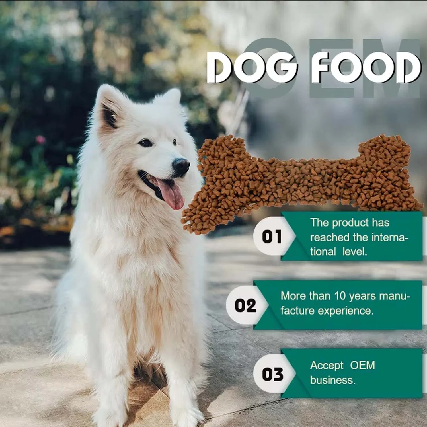 a Variety of Fruit and Vegetable Combinations, Grain-Free Formula, Hypoallergenic and Mild All-Vegetarian Dog Food