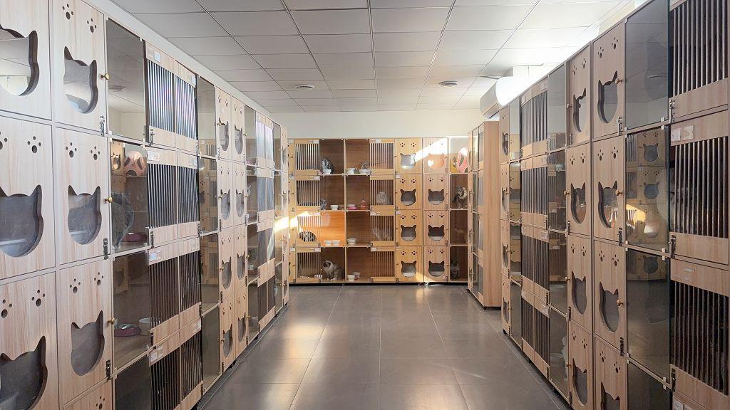 Zesty Pet premium nutritious pet food range for cats and dogs