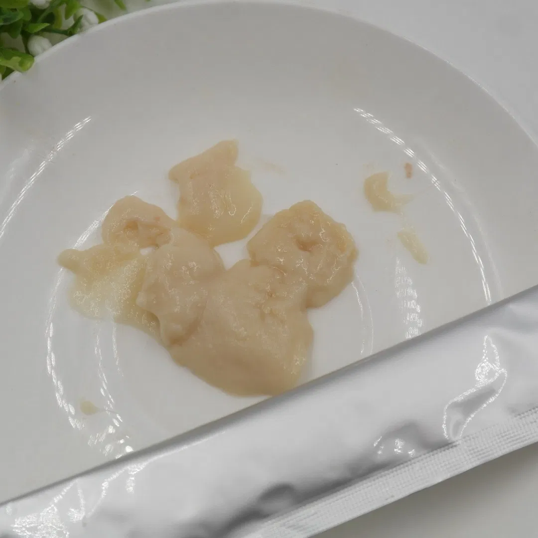 Kitten Wet Food Adult Popular Product Pet Adult Food