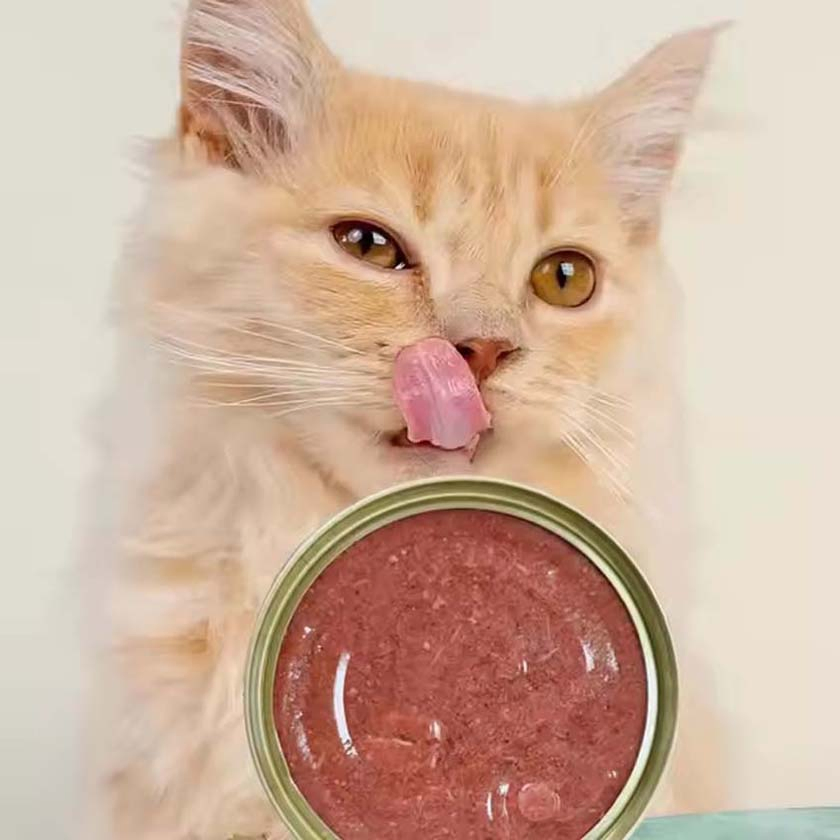 Organic Grain-Free Cat Wet Food Cans High-Protein Pet Snacks with Chicken Duck Shrimp Tuna Salmon Mix for Treats