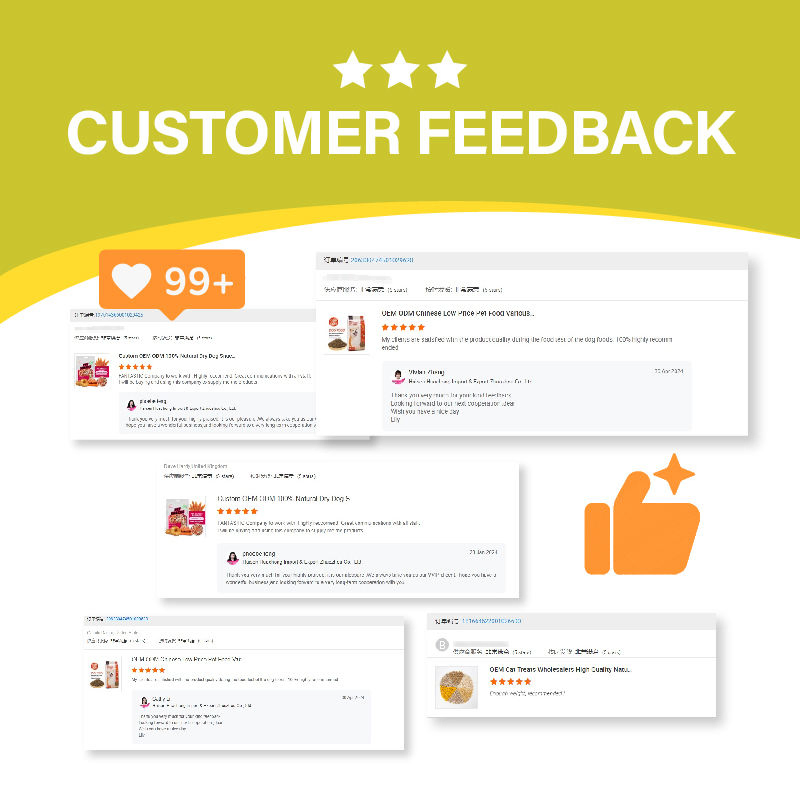 Best-Selling Grain-Free Tasty Fresh Meat Formula Nutritious Digestible Pet Cat Wet Food