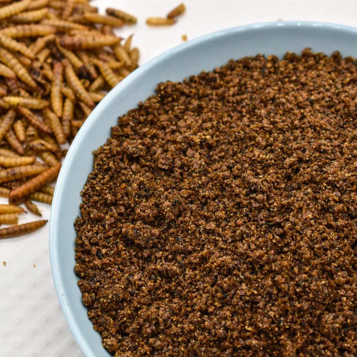 Natural Bsf Insect Powder Pet Food Topper Rich in Chitin Antimicrobial Peptides