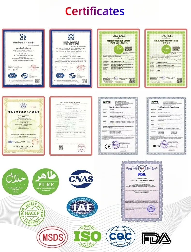 Certification Certificate