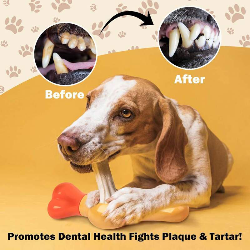 Pet Bully Stick Holder Durable Bone Shape Dog Dental Chew Toy