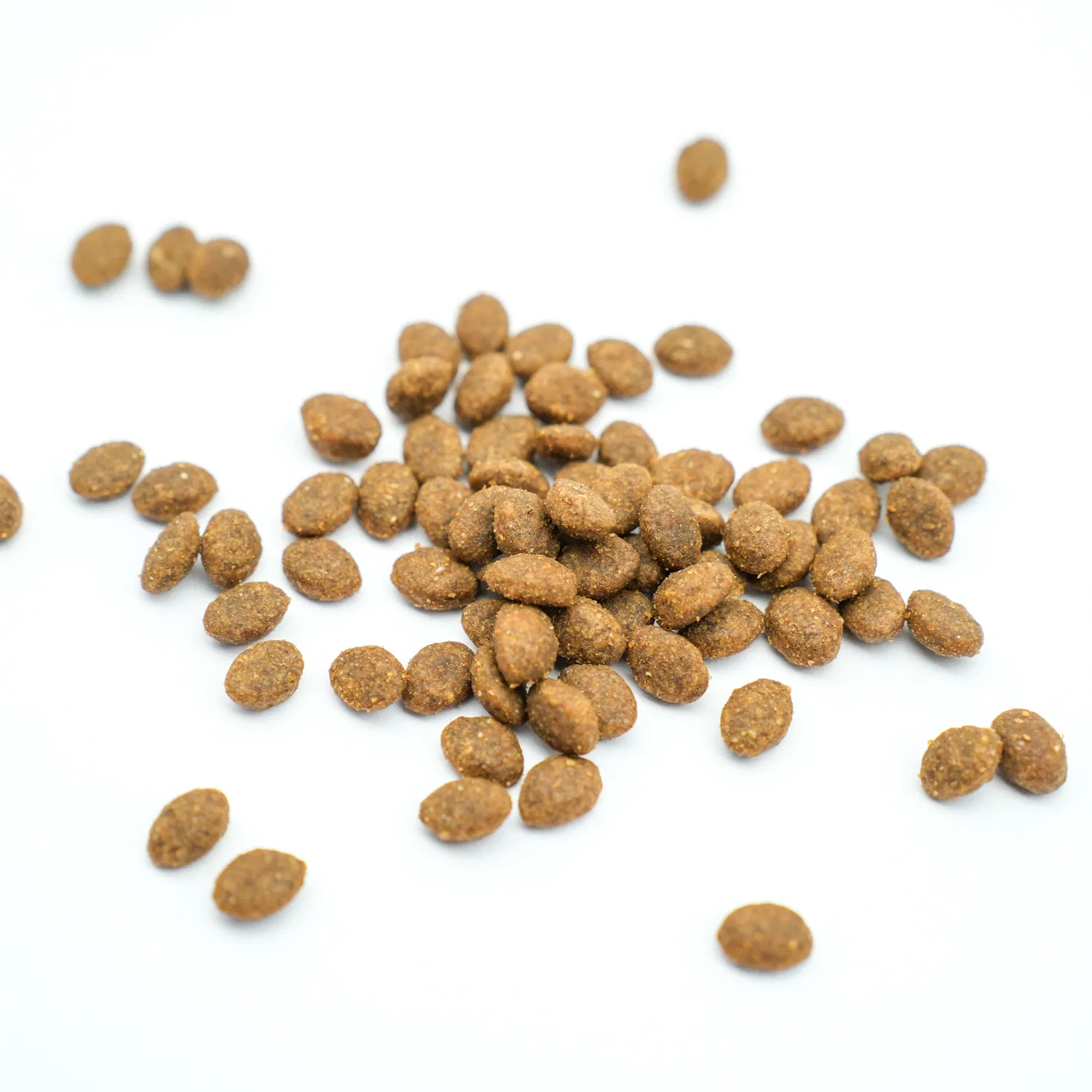 Kitten Food Puppy Food Support Best Price Products OEM/ODM Food
