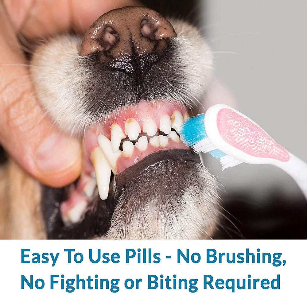 Pet Food Science Diet Natural Organic Dog Food with Healthy Ingredient