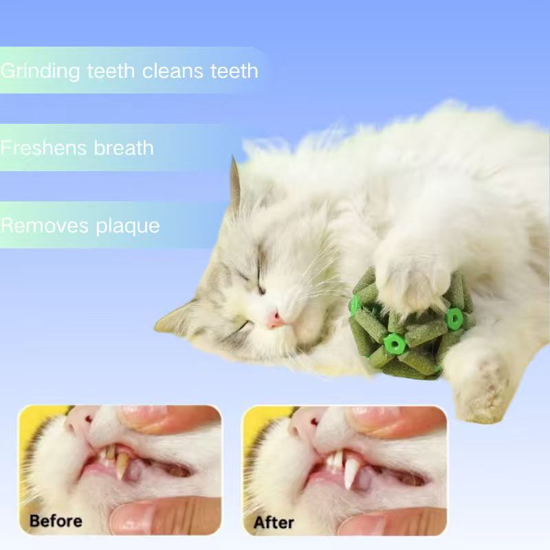 High-Quality Catnip for Cats - Pure Dried Catnip Powder &amp; Sprinkles, Irresistible Kitty Treats for Chewing, Playing &amp; Relaxing, Pet-Safe Formula