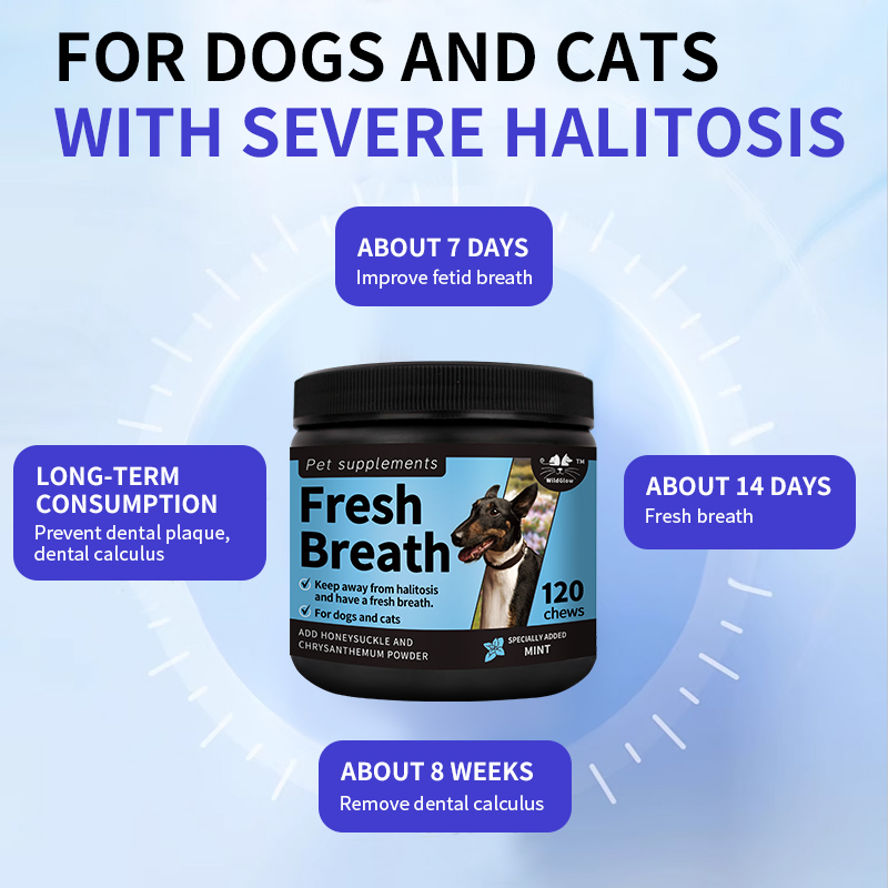 Premium Dog Dental Chews for Healthy Teeth and Fresh Breath
