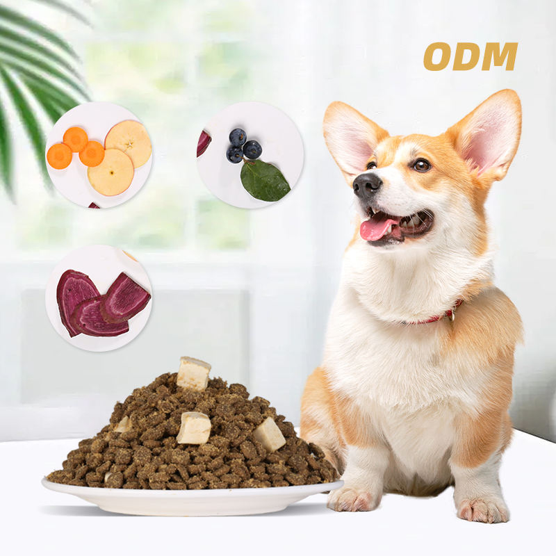 Meat Freeze-Dried 2kg Grain-Free Adult Puppy Dog Food Universal Dry Food