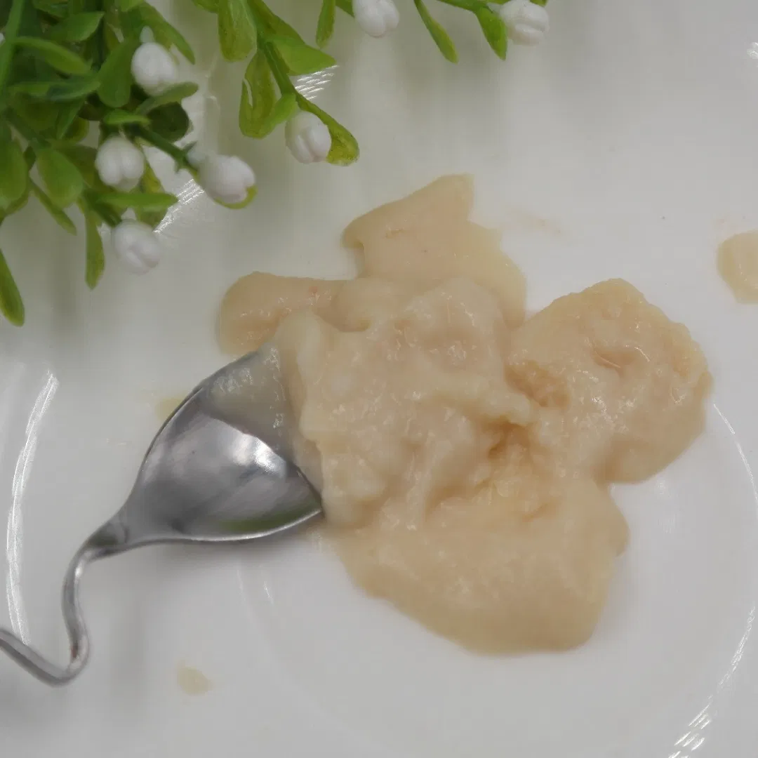 Kitten Wet Food Adult Popular Product Pet Adult Food