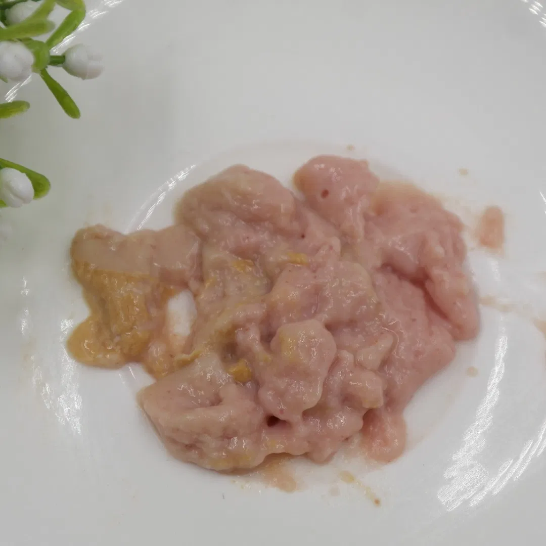 Kitten Wet Food Adult Popular Product Pet Adult Food