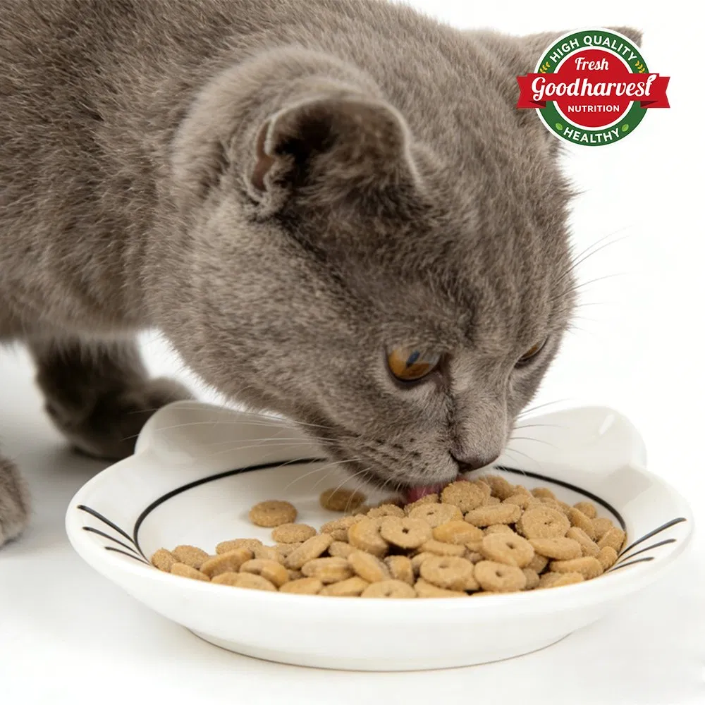 Chicken and Beef Dried Dog Food Cat Food Pet Food Bulk